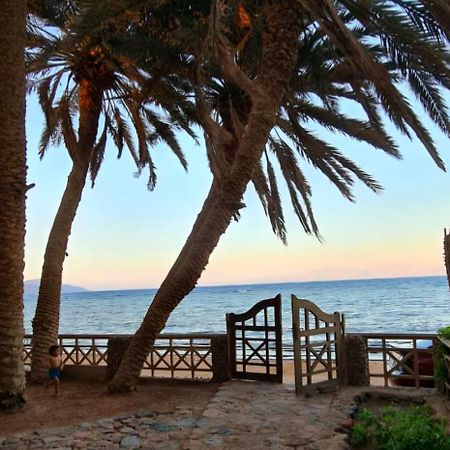 Dahab House Apartment Sea Dış mekan fotoğraf