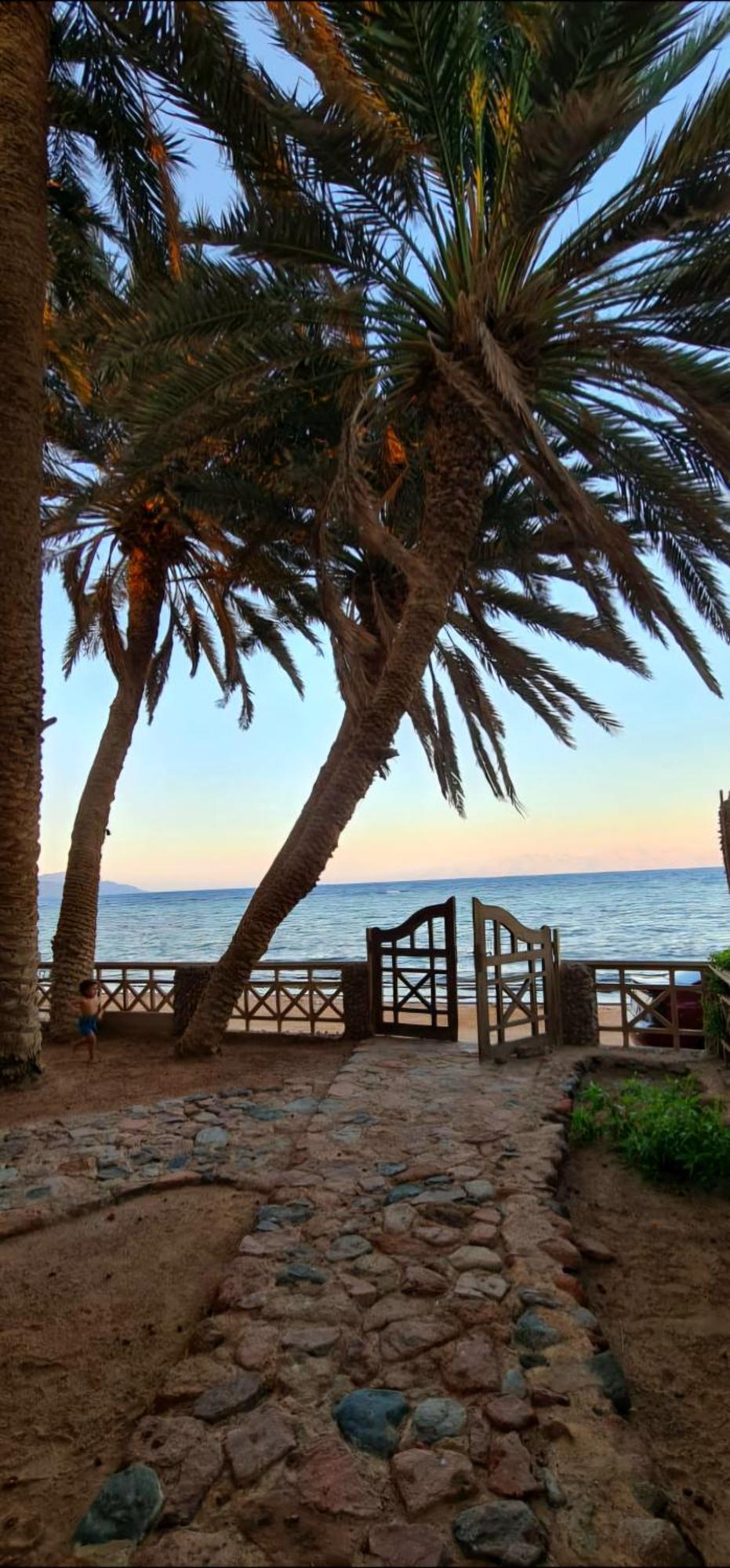 Dahab House Apartment Sea Dış mekan fotoğraf